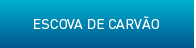 Escovas de Carv&atilde;o